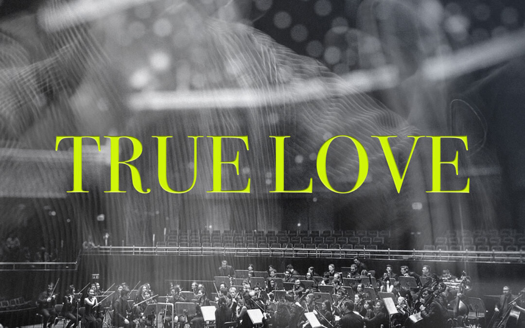 True Love Vol. 1, 2022, Flipper Music